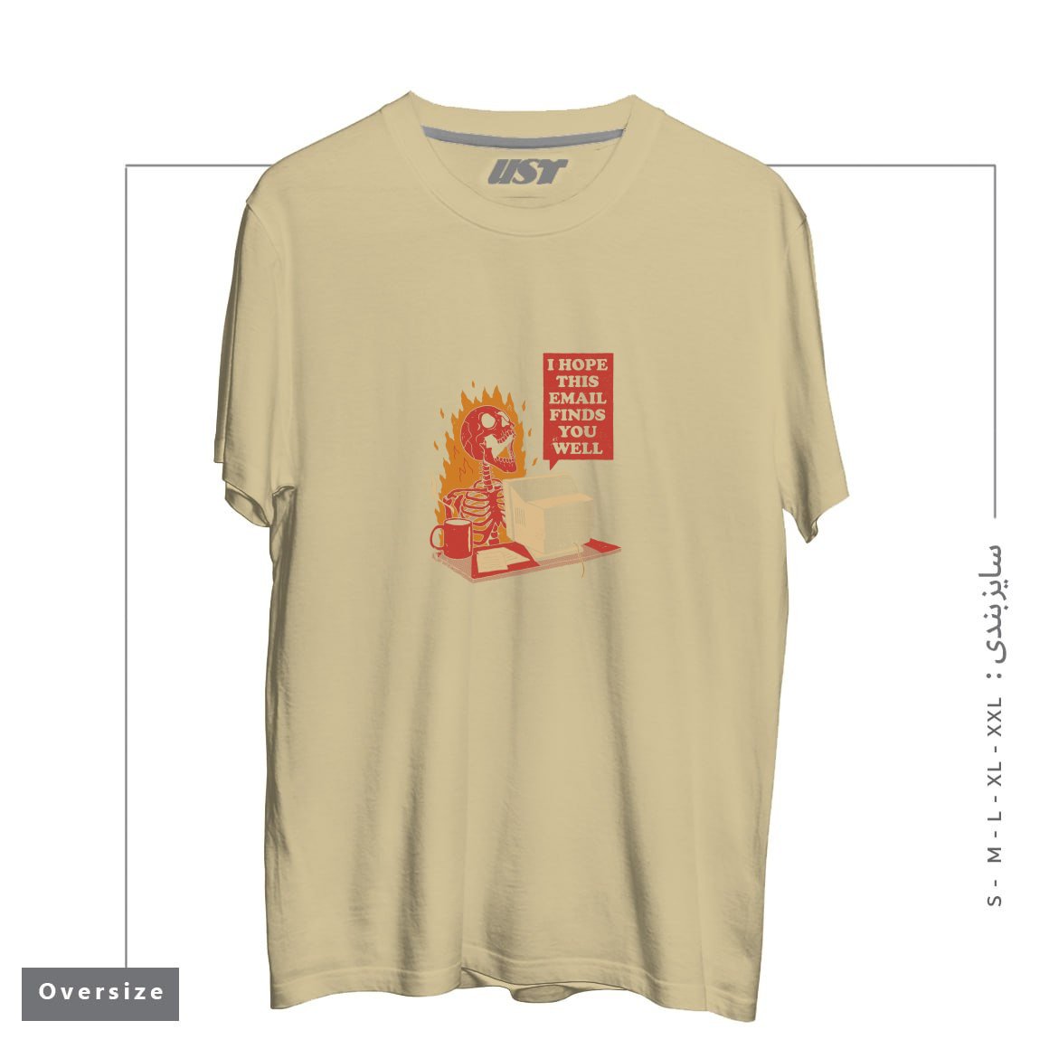 طرح YOU GOT MAIL تیشرت اورسایزرنگ نخودی