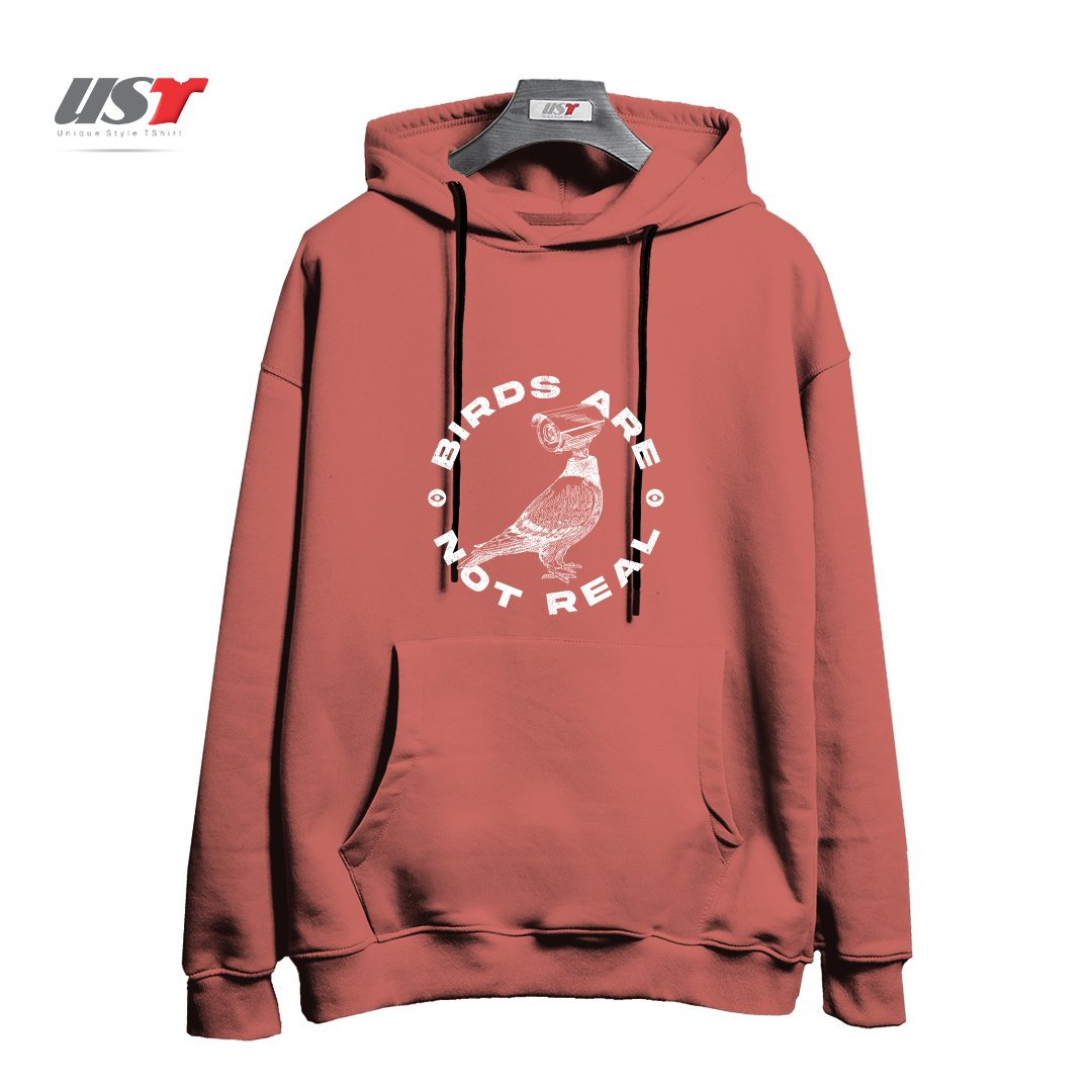 طرح BIRDS ARE NOT REAL هودی اورسایزرنگ آجری