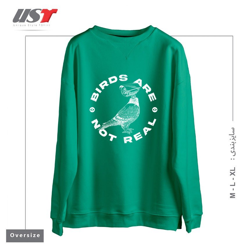 طرح BIRDS ARE NOT REAL سوییشرت اورسایزرنگ سبز سدری