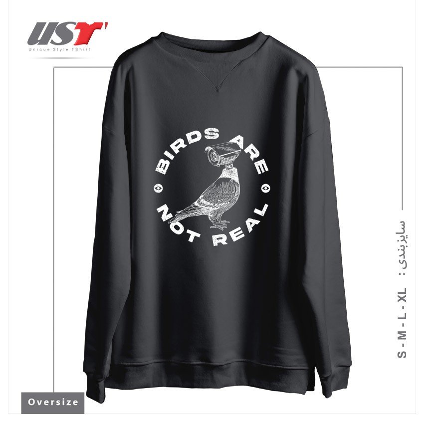 طرح BIRDS ARE NOT REAL سوییشرت اورسایزرنگ دودی
