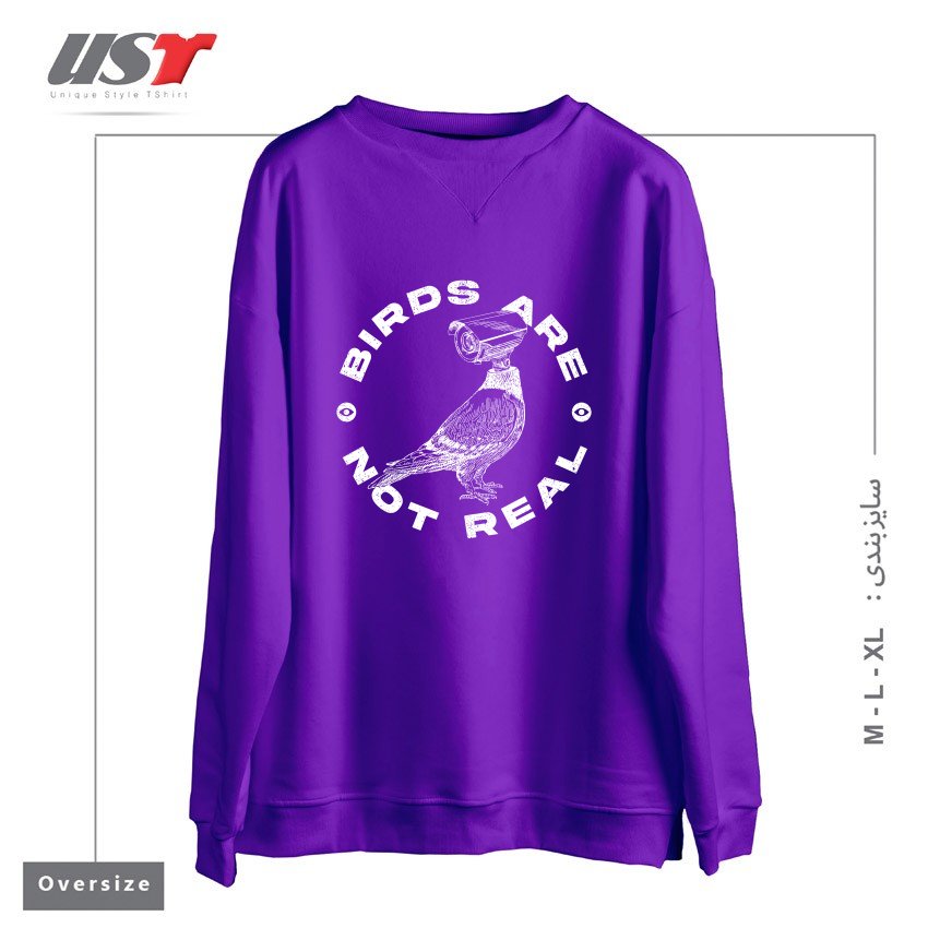 سوییشرت اورسایز طرح BIRDS ARE NOT REAL
