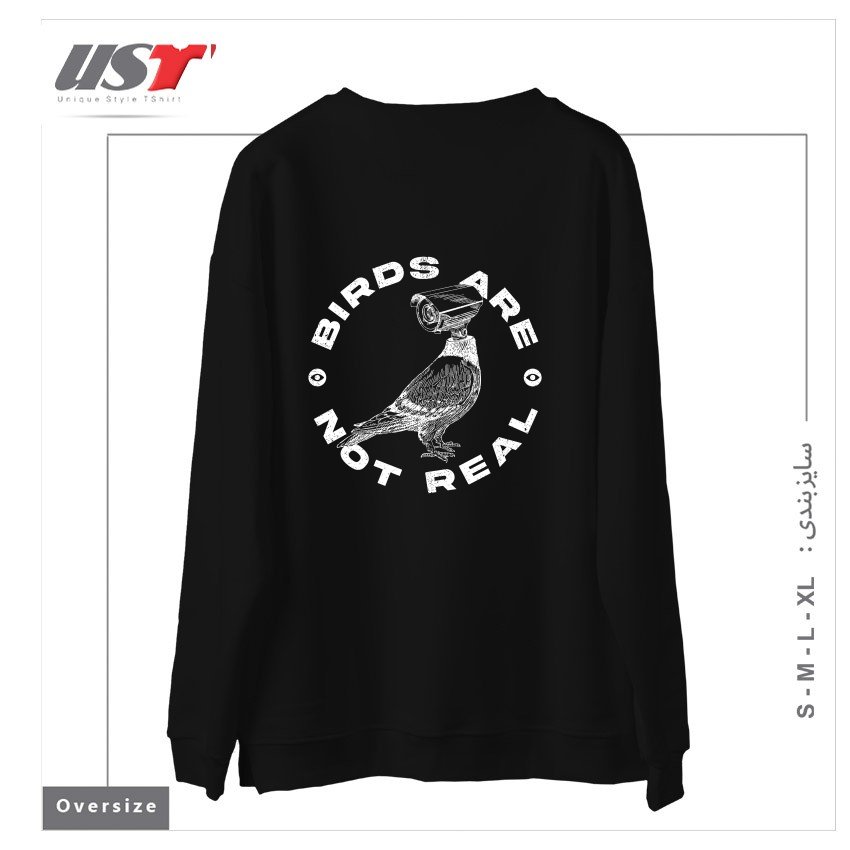 طرح BIRDS ARE NOT REAL سوییشرت اورسایزرنگ مشکی